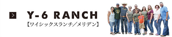 Y-6 RANCH [ワイシックスランチ / メリデン]