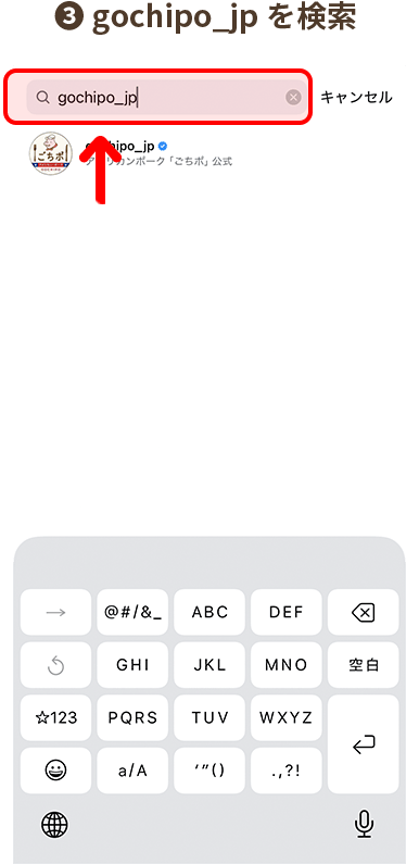 3.「gochipo_jp」を検索