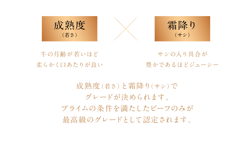 成熟度（若さ）牛の月齢が若いほど柔らかく口あたりが良い × 霜降り（サシ）サシの入り具合が豊かであるほどジューシー 成熟度（若さ）と霜降り（サシ）でグレードが決められます。プライムの条件を満たしたビーフのみが最高級のグレードとして認定されます。