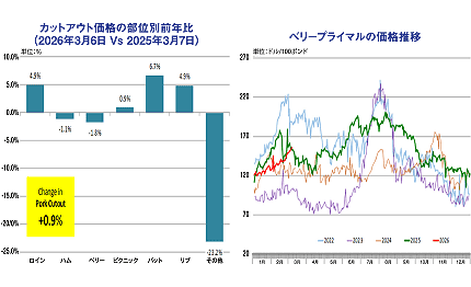 �J�b�g�A�E�g���i�̕��ʕʑO�N��i2026�N3��6�� Vs 2025�N3��7���j �i���j�^�x���[�v���C�}���̉��i���� �i�E�j