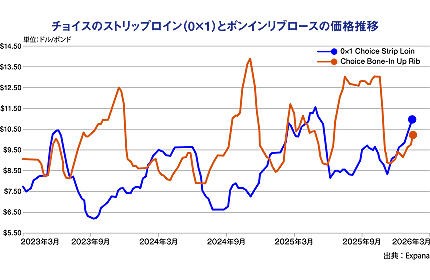 �`���C�X�̃X�g���b�v���C���i0�~1�j�ƃ{���C�����u���[�X�̉��i����